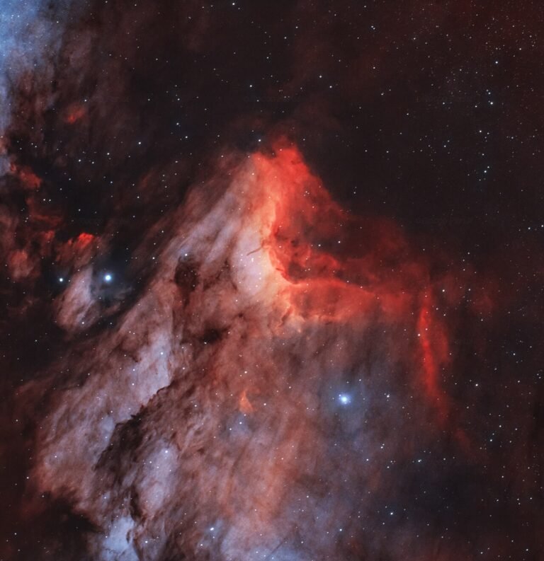 2024 The Pelican nebula IC5070 HOO+RGB(Ha+O3) with SCOPOS TL805 + WO 0.8X + ASI533MC P (Rocco Parisi)