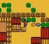 Harvest Moon GB